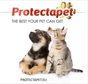 cat and puppy looking up at Protectapet logo advertising the best healthcare plans in Spain.